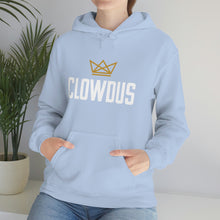 Load image into Gallery viewer, Statement Hoodie

